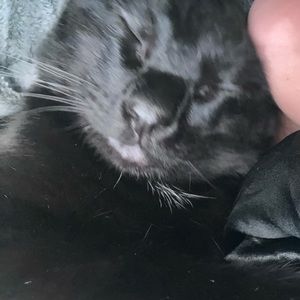 Meet your Posher, Marisol